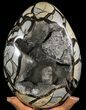 Septarian Dragon Egg Geode - Removable Section #78541-3